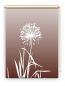 Preview: Rollo Allium 24 coffee, Rollo, Motivrollo, Rollo mit Druck, Fotorollo, bedrucktes Rollo, Fensterrollo,verdunkelndes Rollo, Sonnenschutz